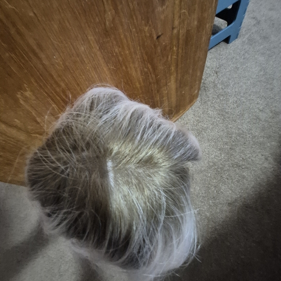 Jon Renau January In Frost Colour - Picture 7 of 11